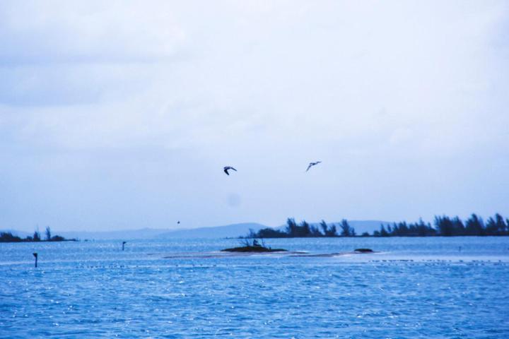Apartamento Arraial Do Cabo Com Vista Para A Lagoa - Golden Lake Экстерьер фото